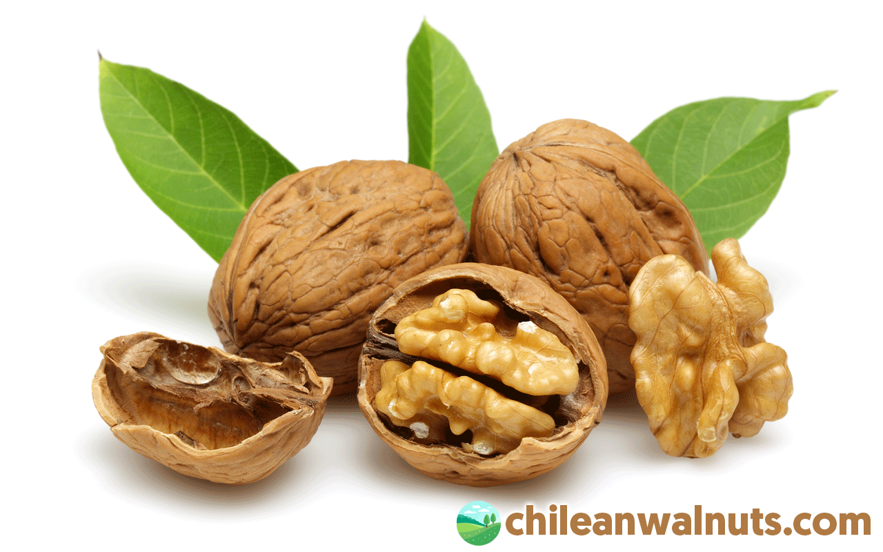 Benefits of Walnut