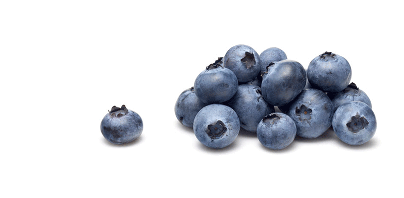 Chilean Blueberries